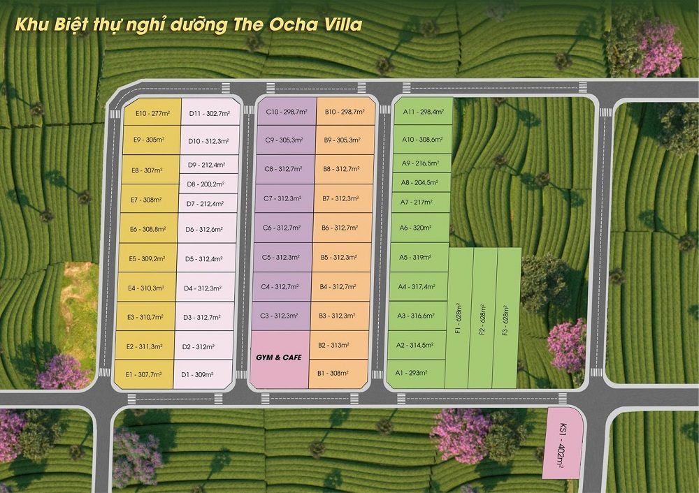 The Ocha: Khu đất nền biệt thự nghỉ dưỡng tại Lâm Đồng
