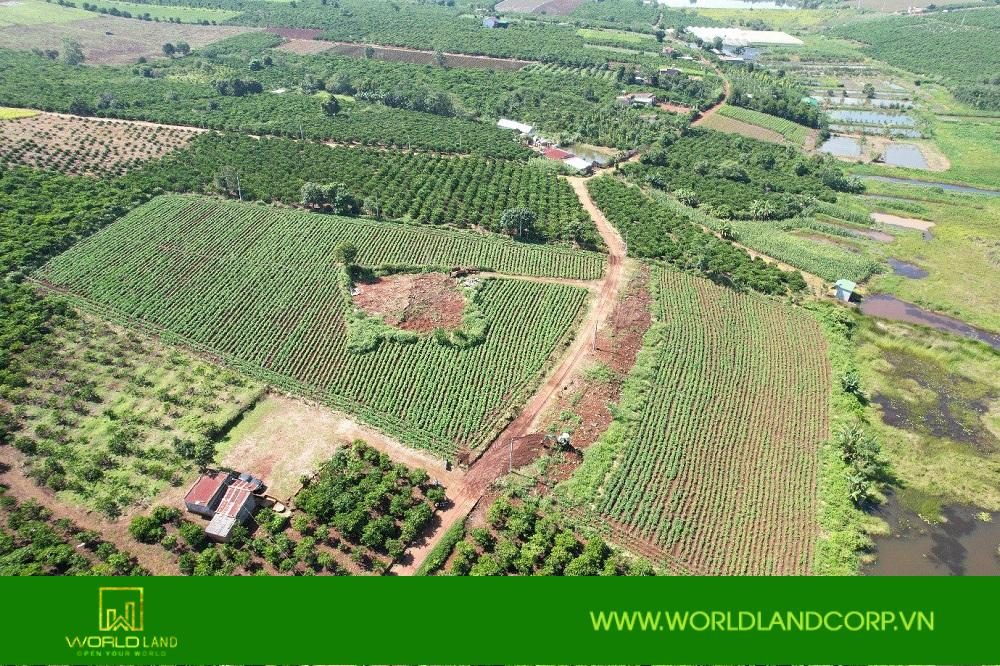 LakeView Phúc Thọ: Dự án đất nền tại Lâm Đồng